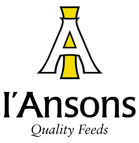 I'Ansons Logo